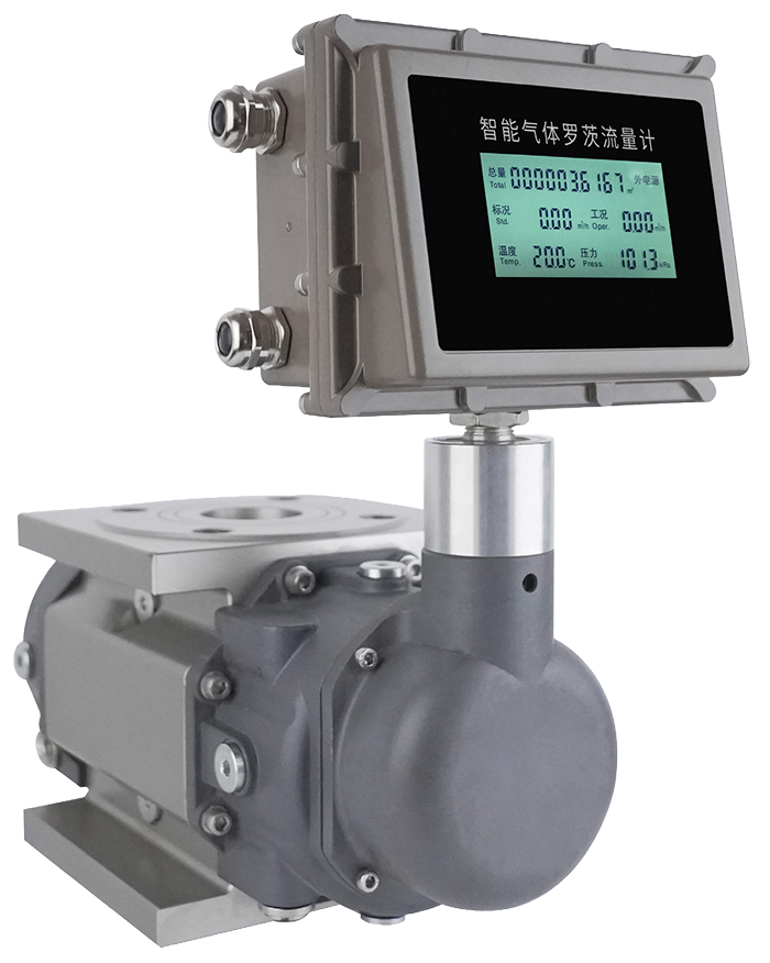 天然氣羅茨流量計產(chǎn)品圖片