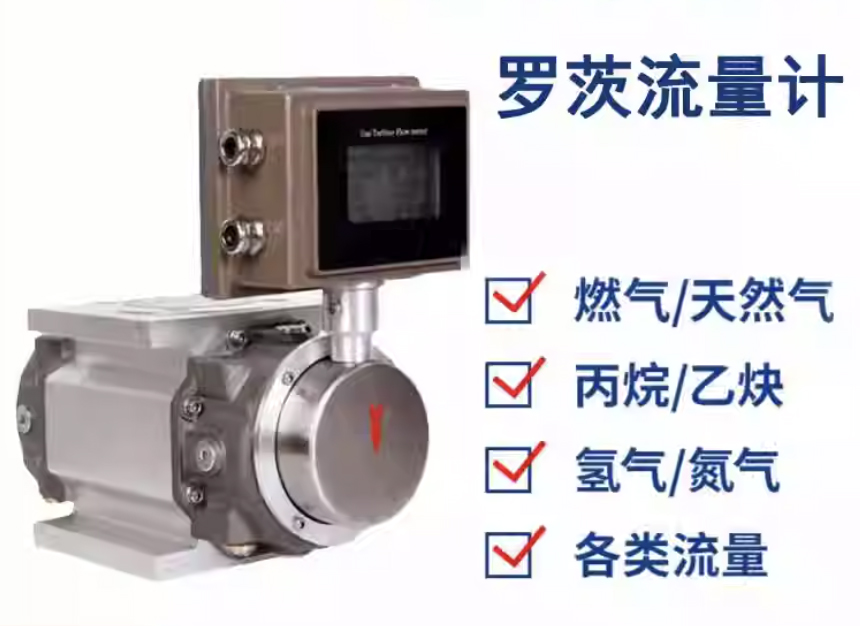 天然氣羅茨流量計(jì)